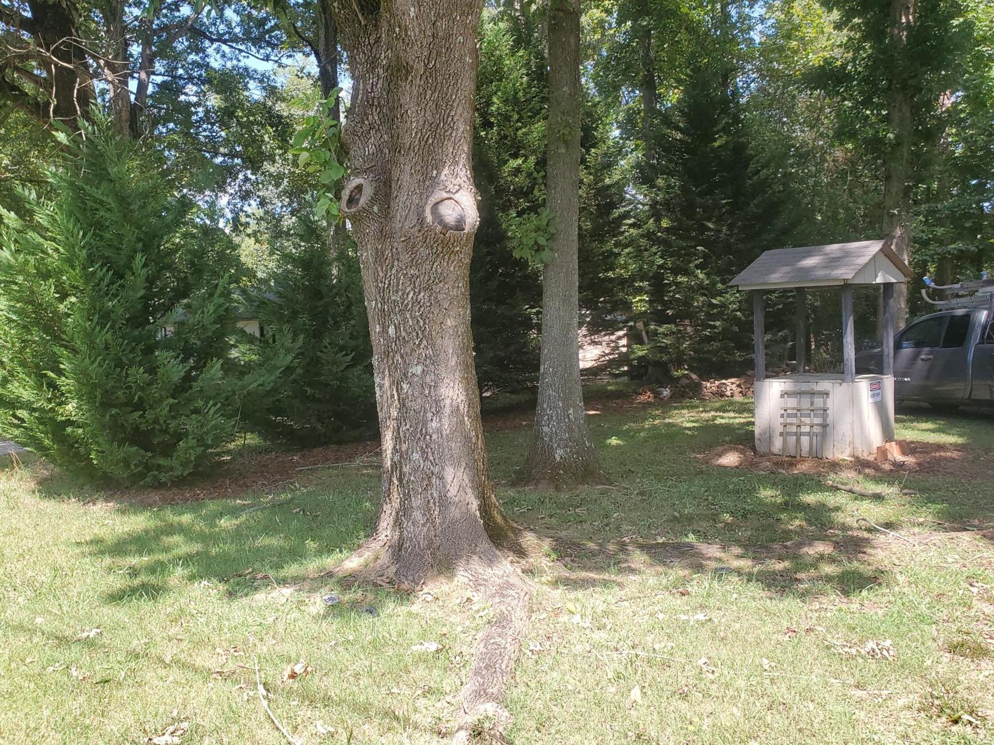Private Single Level Standalone House Large Lot - 3 Bedrooms Charlotte Exteriér fotografie